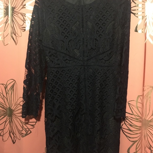 Cupcakes and cashmere classy lace elegant dress - Picture 1 of 3